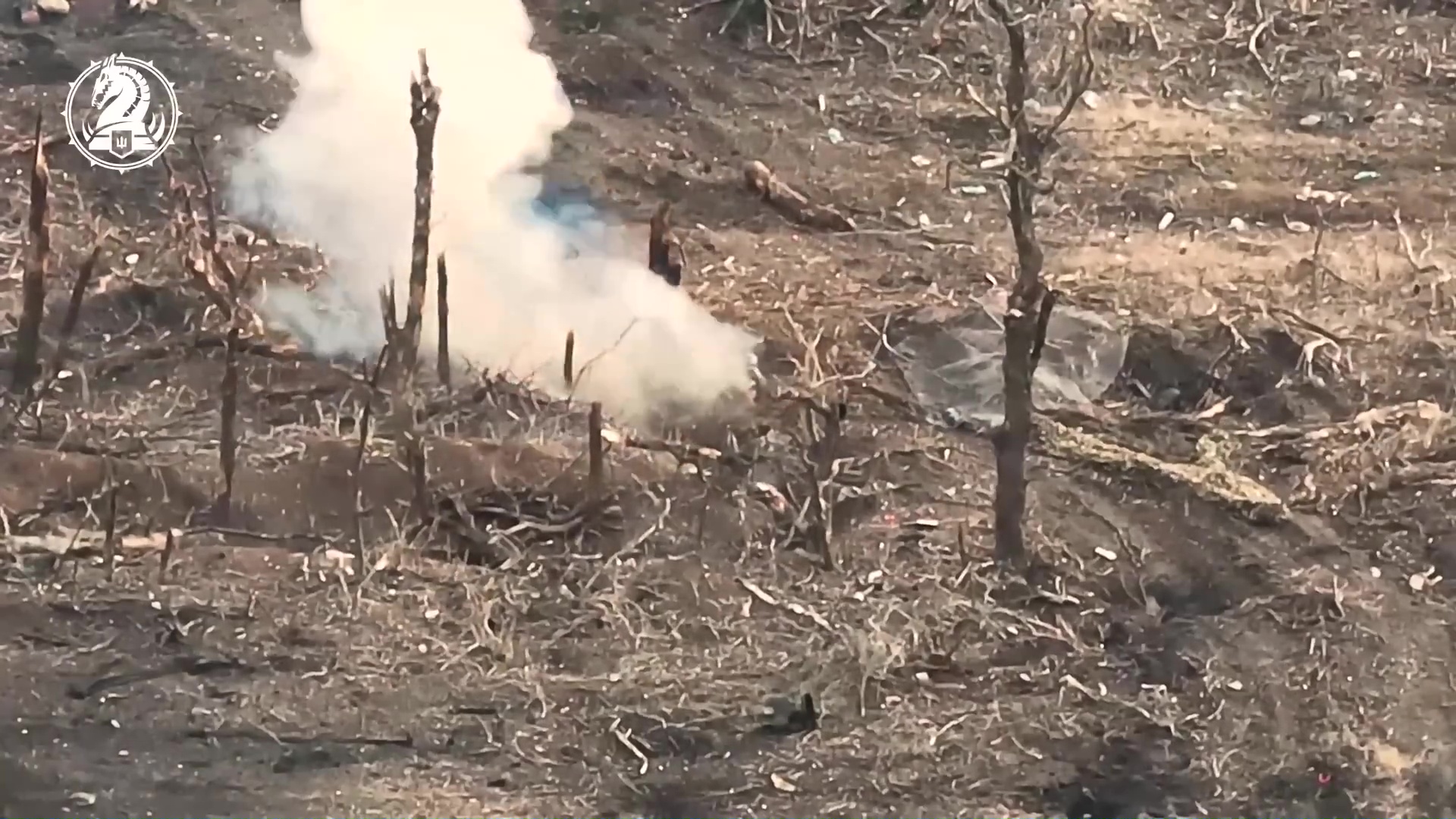 Vue plongeante sur de la terre et des arbres arrachés. De la fumée s'élève au centre de l'image.