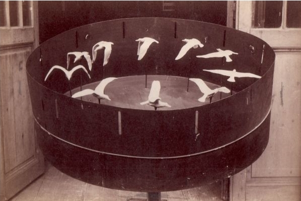 Vue plongeante sur le zootrope : 10 maquettes d'oiseau à différents stades de vol sont disposées en cercle. Autour, un cyclindre métallique sur un axe mobile, avec un dizaine de fentes.